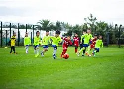 双色球秘籍,期精准预测,必中定蓝球,足彩网官网,足彩网集团,足彩网,足彩网赛事中心,足彩网体育运营官方,足彩网直播官方