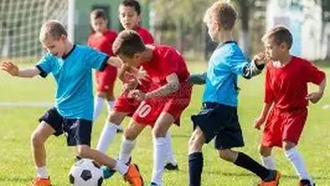 【一中红彩讯】双色球26016期独家攻略：精准杀码12、13、24，红球必中秘籍大公开！