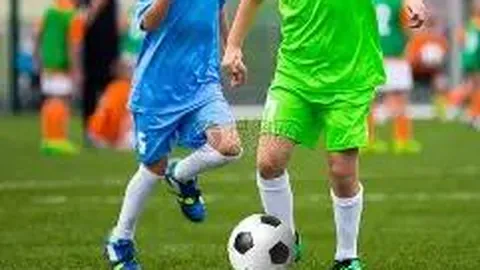 【彩市秘籍大公开】2026013期双色球独家精准预测，绝杀六蓝神算，揭秘走势秘境！