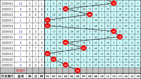 大乐透26020期专家推荐：后区两码选奇偶，组合1011分析