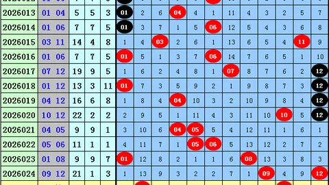 大乐透26025期专家推荐：质合分析杀码定号05